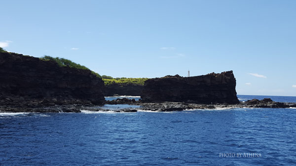 Lanai snorkel tour and dolphin watch
