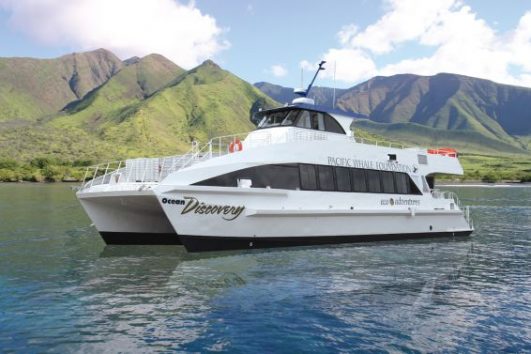 Pacific Whale Foundation Christmas Dinner Cruise with Whales