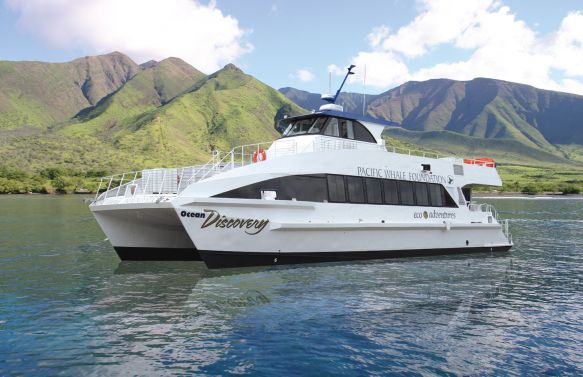 Pacific Whale Foundation Christmas Dinner Cruise with Whales