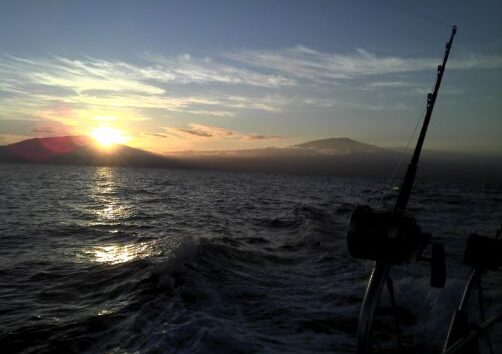 Strike Zone Fishing Maalaea