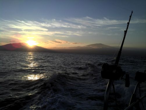 Strike Zone Fishing Maalaea