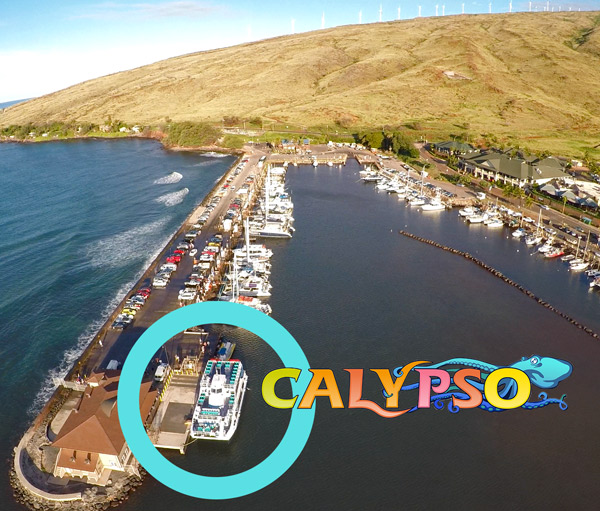Molokini-snorkel-calypso