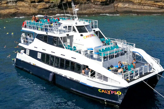 Molokini-Snorkel-Calypso