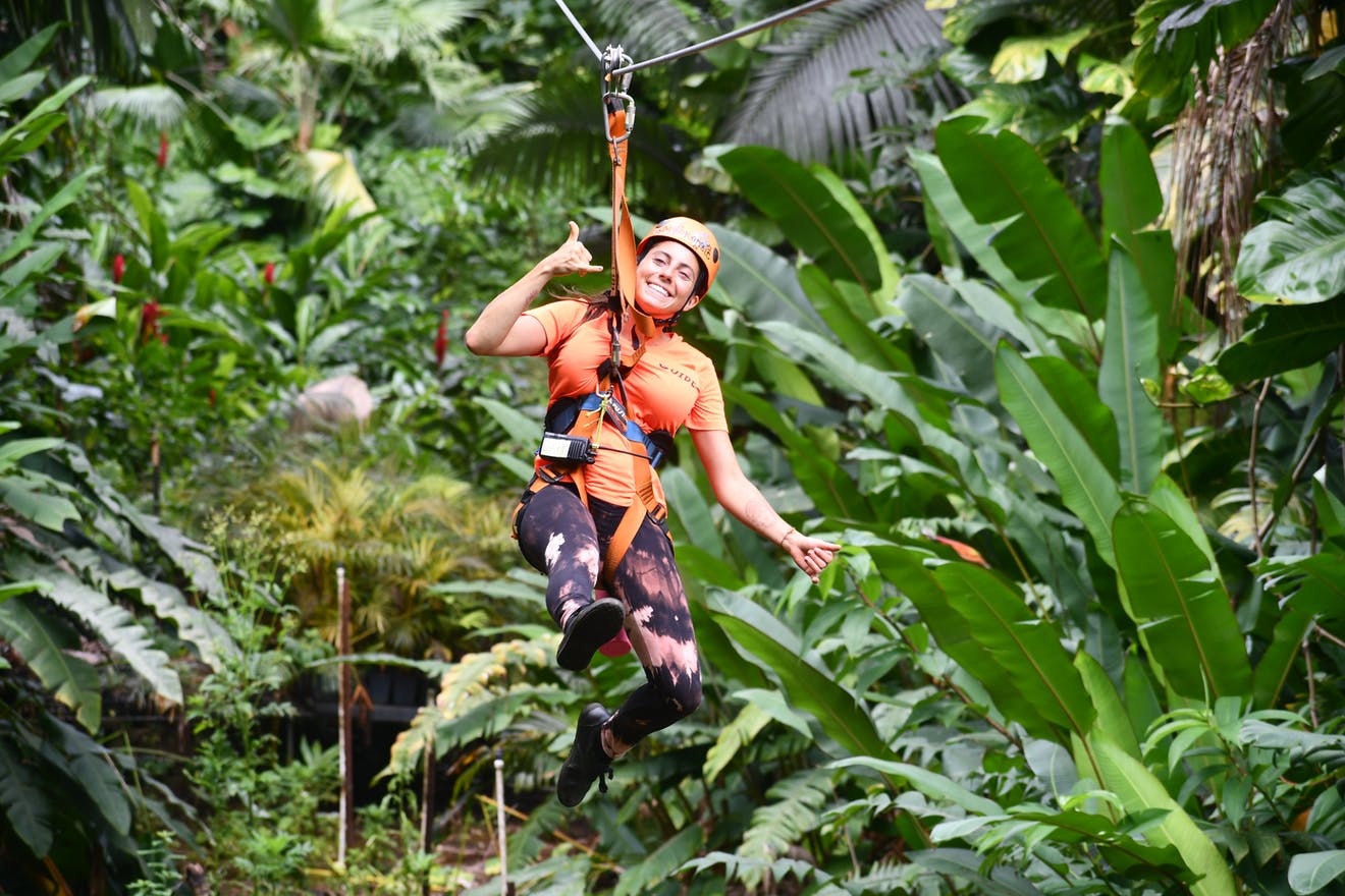 Jungle-Zipline