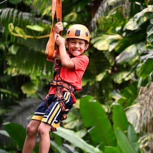Jungle-Zipline