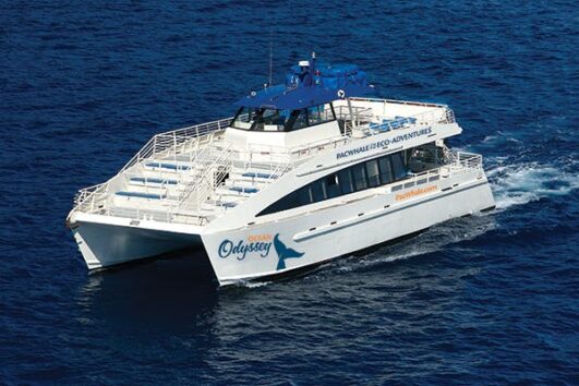 Dinner Cruise out of Maalaea harbor